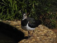 Bild: Zu Gast im Tierpark Dessau