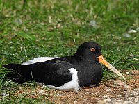 Bild: Zu Gast im Tierpark Dessau