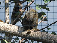 Bild: Zu Gast im Tierpark Dessau