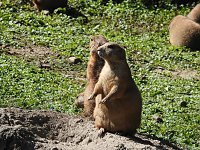 Bild: Zu Gast im Tierpark Dessau