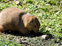 Bild: Zu Gast im Tierpark Dessau