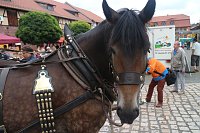 Bild: Schlossfest Heringen