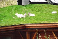 Bild: Unterwegs im Land der Trolle