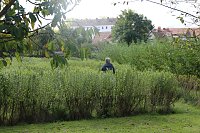 Bild: Tag der offenen T&uuml;r in der Werkstatt der Lebenshilfe in Klettenberg