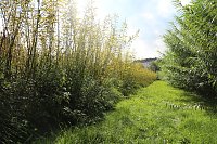 Bild: Tag der offenen T&uuml;r in der Werkstatt der Lebenshilfe in Klettenberg