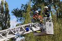 Bild: Feuerwehren der Gemeinde Werther probten Ernstfall