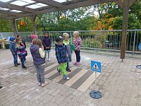 Bild: Erfolgreiche Verkehrserziehung