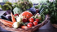 Bild: So schmeckt die Region in Guderlebens