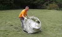 Für Bienen-Ragwurz und Spargelerbse Bild: Für Bienen-Ragwurz und Spargelerbse