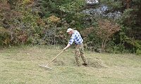Für Bienen-Ragwurz und Spargelerbse Bild: Für Bienen-Ragwurz und Spargelerbse