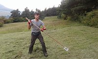 Für Bienen-Ragwurz und Spargelerbse Bild: Für Bienen-Ragwurz und Spargelerbse