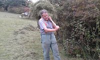 Für Bienen-Ragwurz und Spargelerbse Bild: Für Bienen-Ragwurz und Spargelerbse