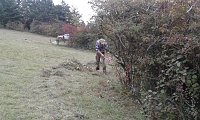 Für Bienen-Ragwurz und Spargelerbse Bild: Für Bienen-Ragwurz und Spargelerbse