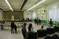 Bild: Spinnen- und Insektenschau in Sundhausen