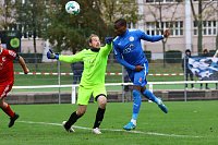 Bild: Wacker gewinnt 8:0 bei Erfurt-Nord