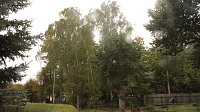 Bild: &Auml;rgernis am Bleicher&ouml;der Weidenhof