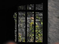 Der alte Knast in der Nachbarstadt Bild: Der alte Knast in der Nachbarstadt