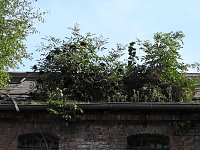 Der alte Knast in der Nachbarstadt Bild: Der alte Knast in der Nachbarstadt