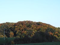 Bild: Pilze und Sonne bei Petersdorf
