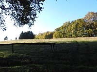 Bild: Pilze und Sonne bei Petersdorf