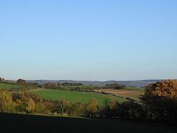 Bild: Pilze und Sonne bei Petersdorf