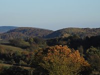 Bild: Pilze und Sonne bei Petersdorf
