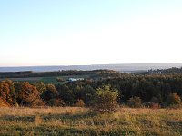 Bild: Pilze und Sonne bei Petersdorf