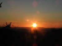 Bild: Pilze und Sonne bei Petersdorf