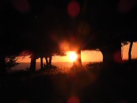 Bild: Pilze und Sonne bei Petersdorf