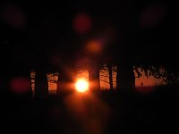 Bild: Pilze und Sonne bei Petersdorf