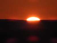 Bild: Pilze und Sonne bei Petersdorf