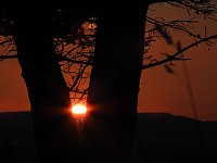 Bild: Pilze und Sonne bei Petersdorf