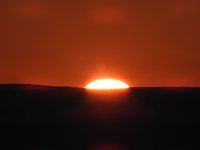 Bild: Pilze und Sonne bei Petersdorf