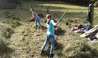 Bild: Jugendliche erhalten die Artenvielfalt