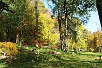 Bild: Herbstliche Sonne 