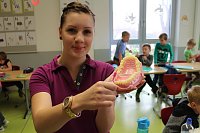 Bild: Tag der Zahngesundheit an der Grundschule Werther