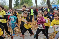 Bild: 24. Stadtparklauf in Sondershausen (1)