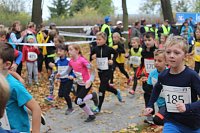 Bild: 24. Stadtparklauf in Sondershausen (1)