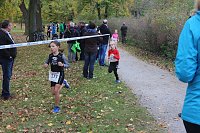 Bild: 24. Stadtparklauf in Sondershausen (1)