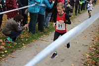 Bild: 24. Stadtparklauf in Sondershausen (1)