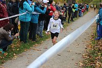 Bild: 24. Stadtparklauf in Sondershausen (1)