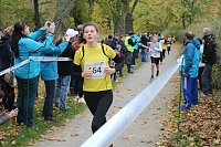 Bild: 24. Stadtparklauf in Sondershausen (1)
