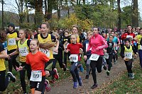 Bild: 24. Stadtparklauf in Sondershausen (1)