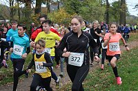 Bild: 24. Stadtparklauf in Sondershausen (1)