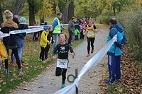 Bild: 24. Stadtparklauf in Sondershausen (1)
