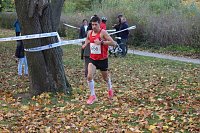 Bild: 24. Stadtparklauf in Sondershausen (1)