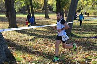 Bild: 24. Stadtparklauf in Sondershausen (1)