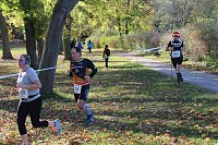 Bild: 24. Stadtparklauf in Sondershausen (1)