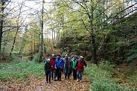 Bild: Wanderung rund um Neustadt