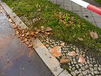 Bild: Die Spur von "Herwart"
